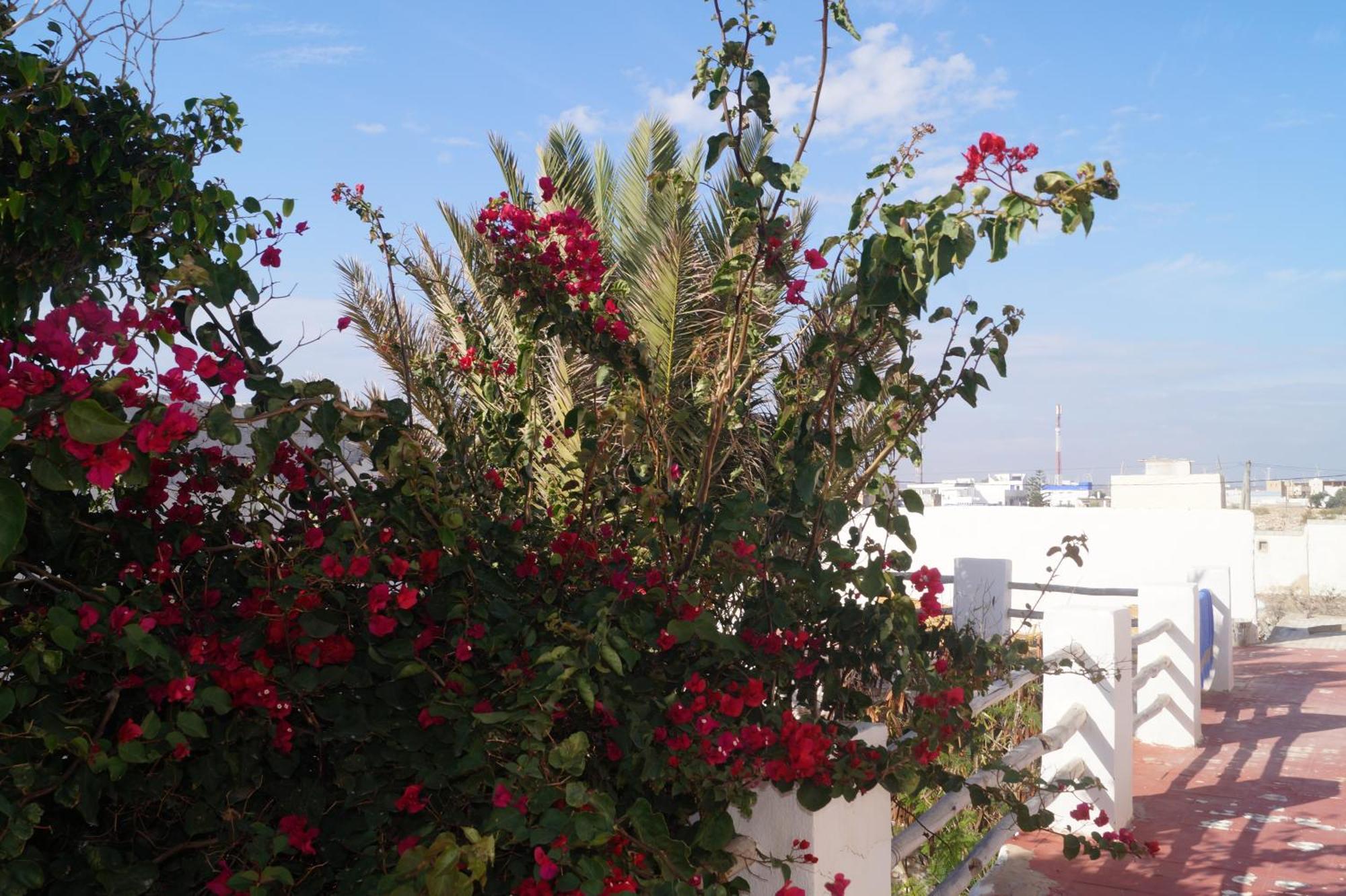 Sidi Kaouki Perla Hotel Екстериор снимка