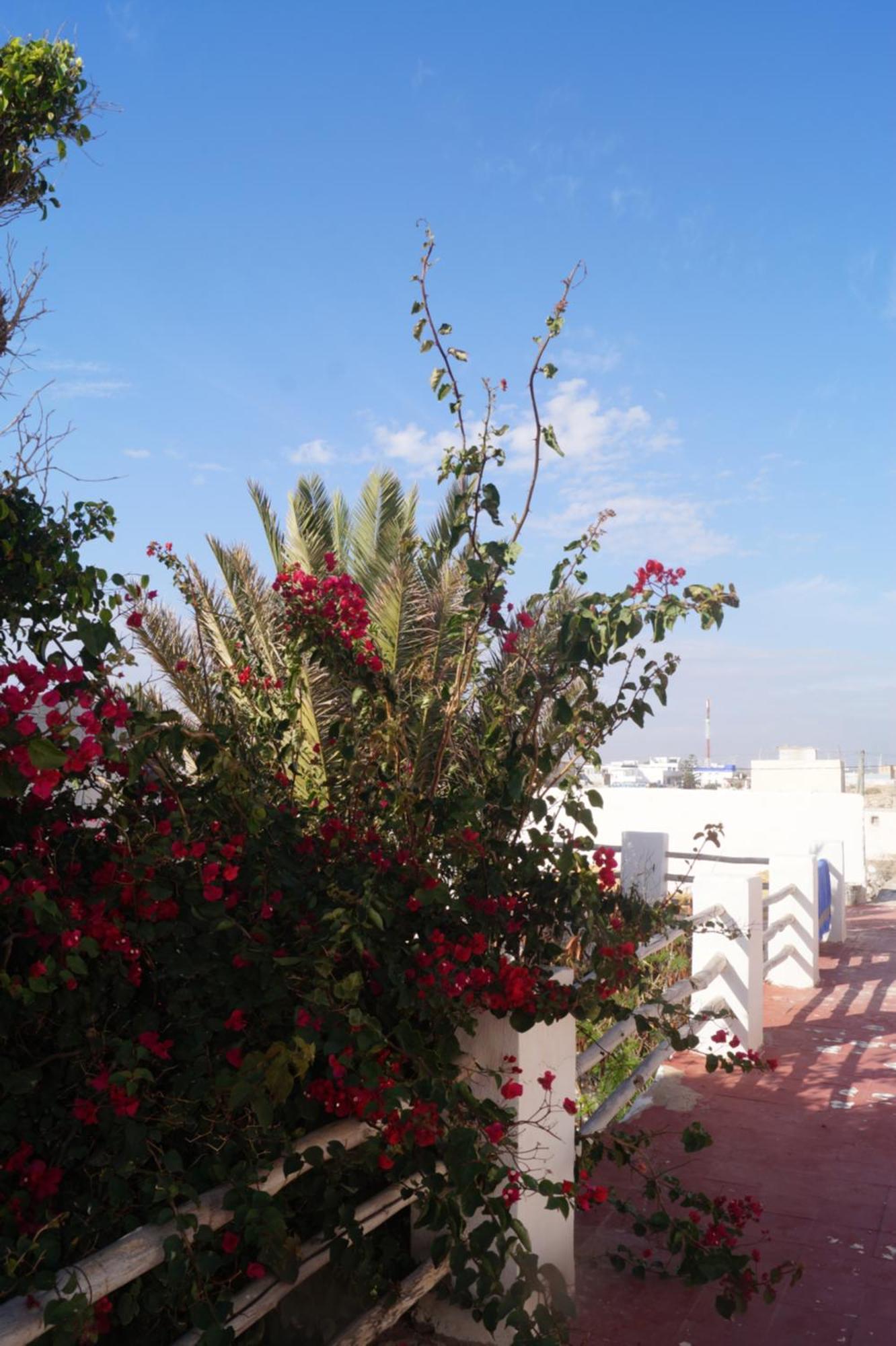 Sidi Kaouki Perla Hotel Екстериор снимка