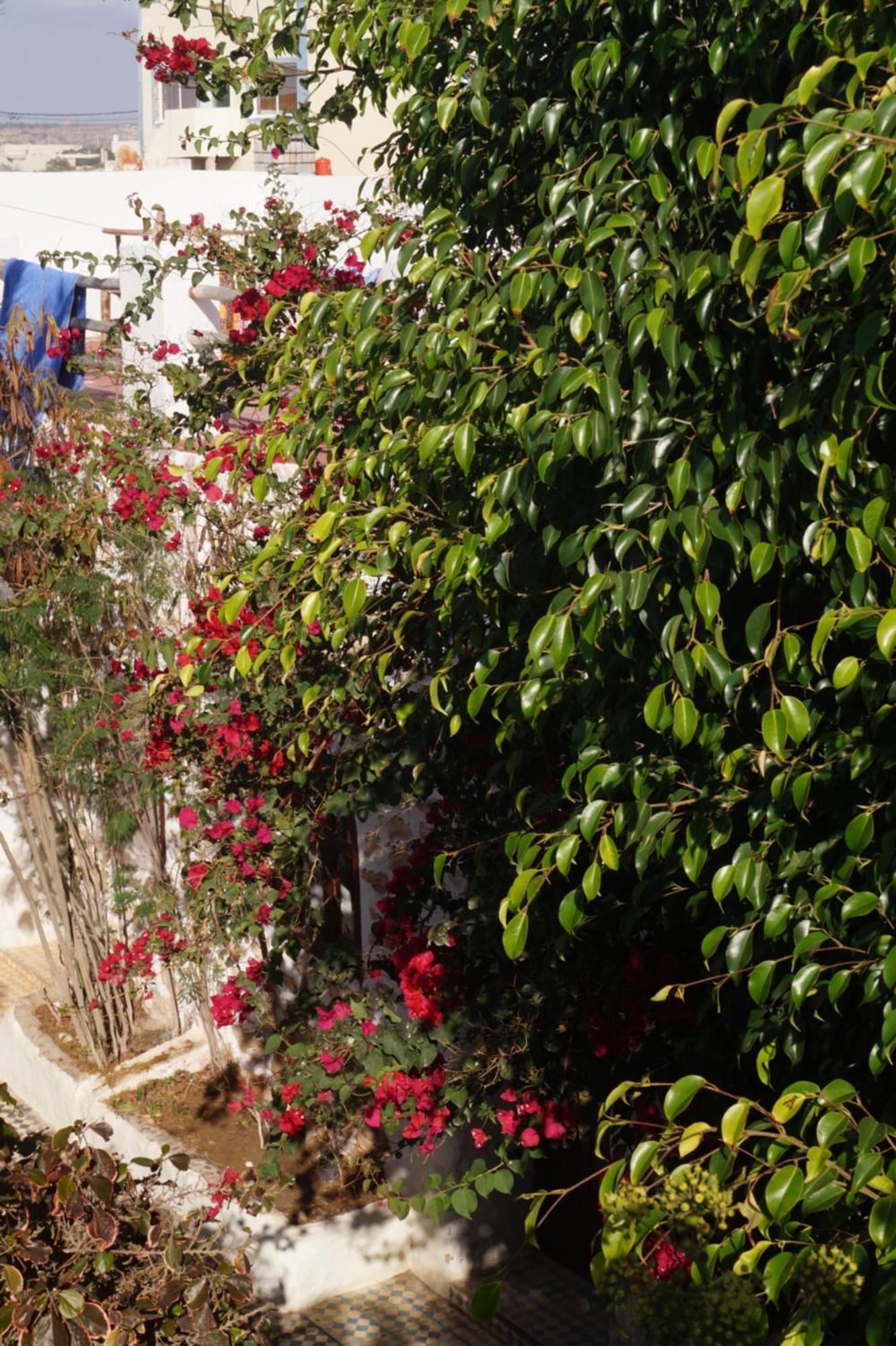 Sidi Kaouki Perla Hotel Екстериор снимка